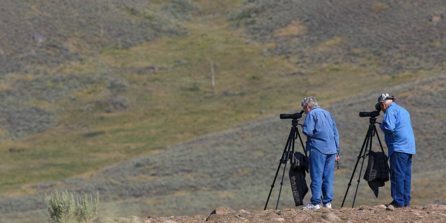 Two Men On A Wildlife Safari Stand On A Rocky Hillside While Looking Through Spotting Scopes In Yellowstone National Park