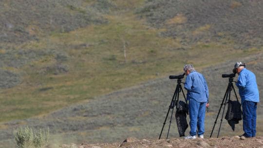 Two Men On A Wildlife Safari Stand On A Rocky Hillside While Looking Through Spotting Scopes In Yellowstone National Park