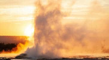 A Geyser Erupts In An Orange Glow As The Sun Sets On The Lower Geyser Basin In Yellowstone National Park