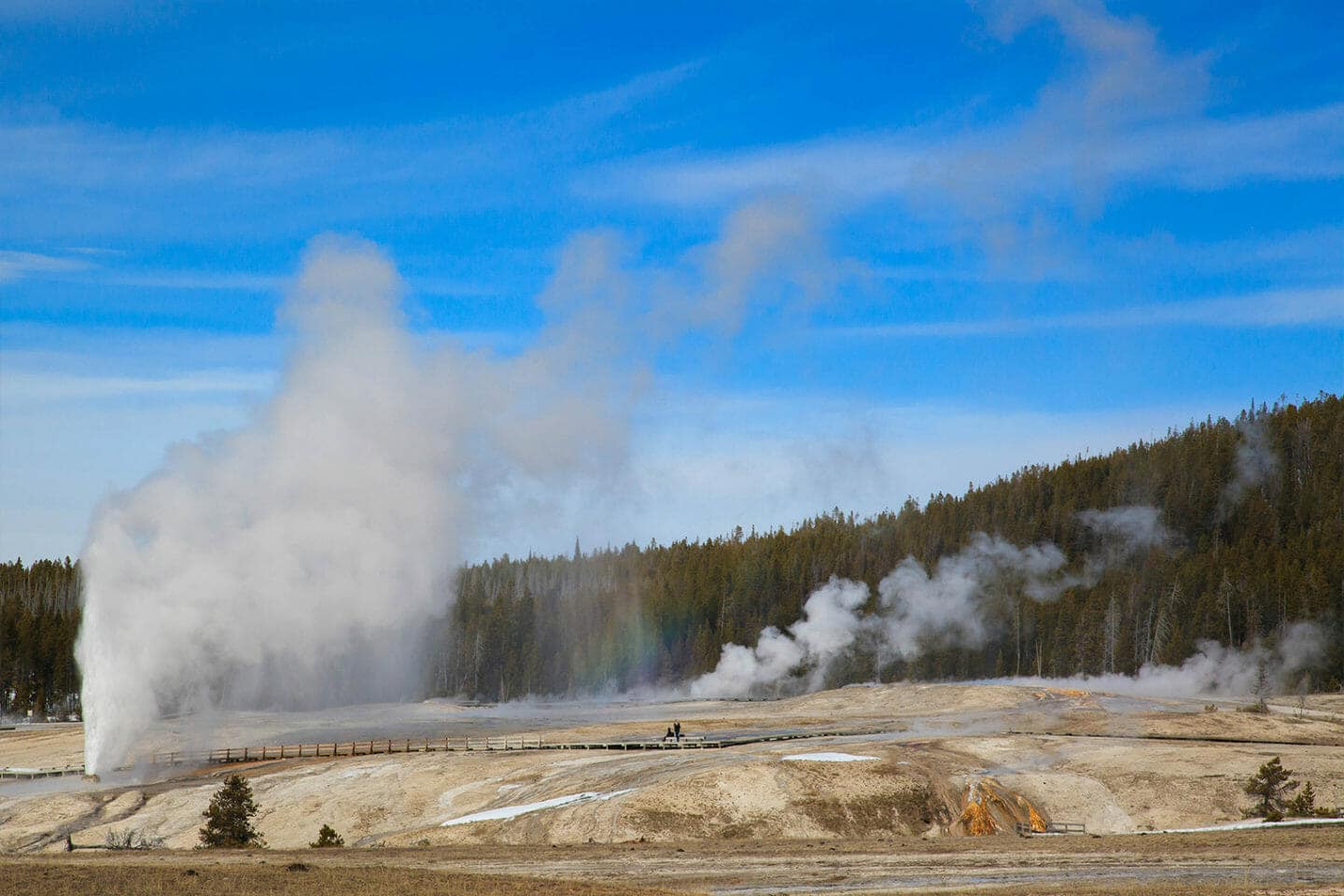 Beehive Geyser Erupts And Shoots Superheated Water And Steam Into The Air At The Upper Geyser Basin In Yellowstone National Park