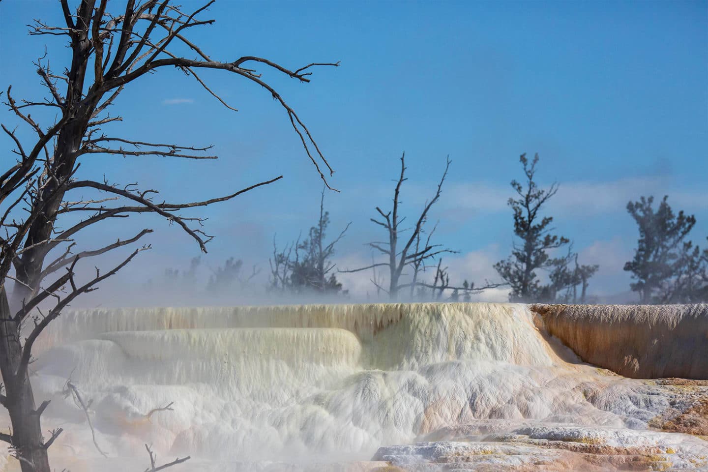 Thermal Features With Vibrant Whites and Oranges Are Visible At The Mammoth Terraces In Yellowstone National Park