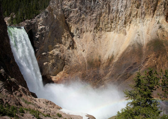 The Lower Falls Of The Yellowstone River Cascades Over 300 Feet, Forming An Impressive and Picturesque Yellowstone Icon