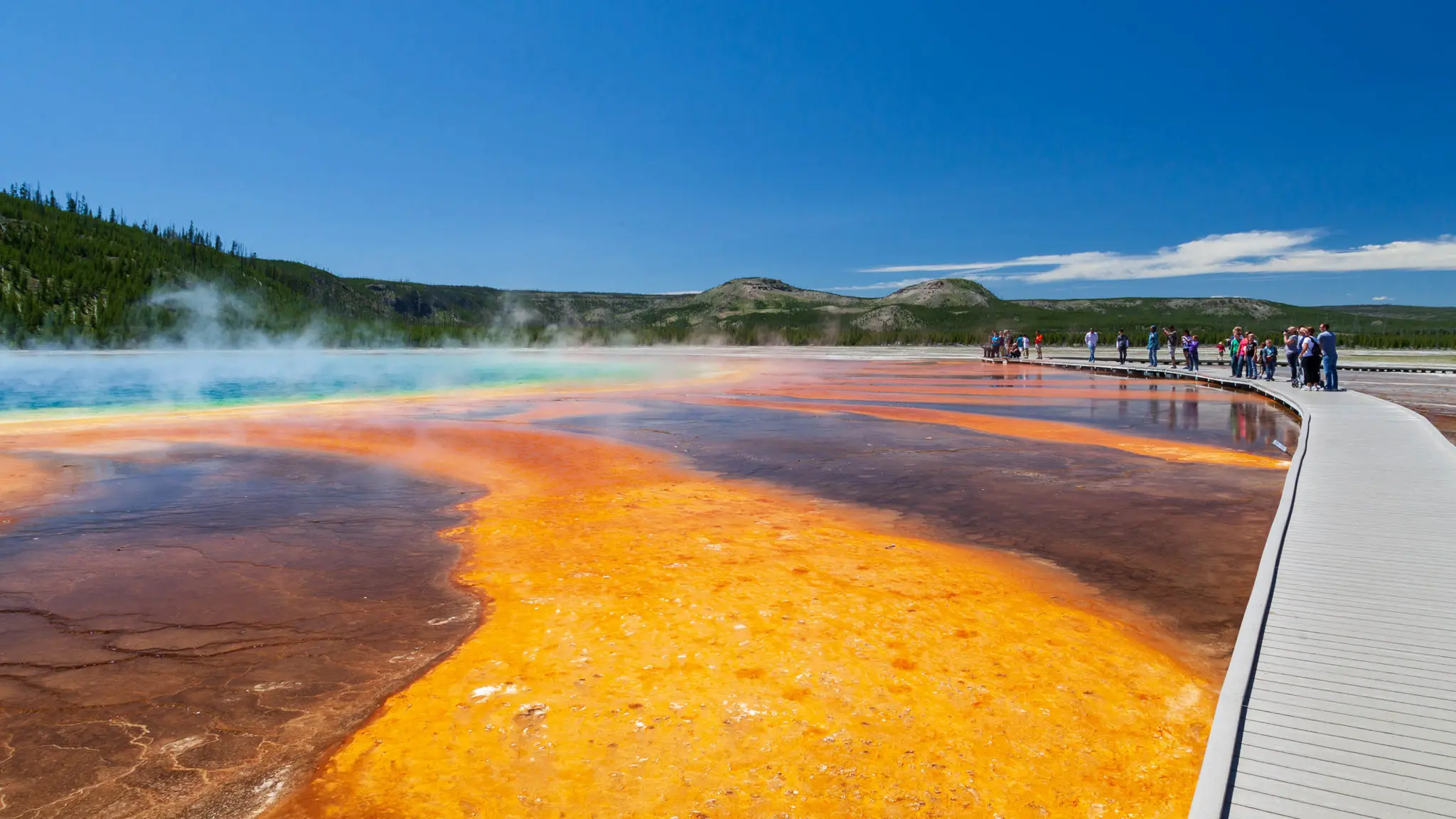 Best of Yellowstone Tours & Highlights | Old Faithful