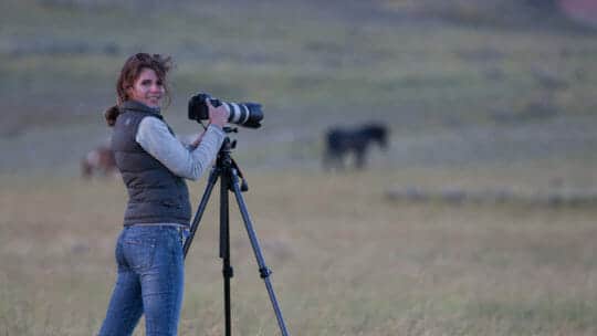 Professional Wildlife Artist Carrie Wild Photographs Wild Horses On The McCullough Peaks Wildlife Management Area Outside Of Cody Wyoming