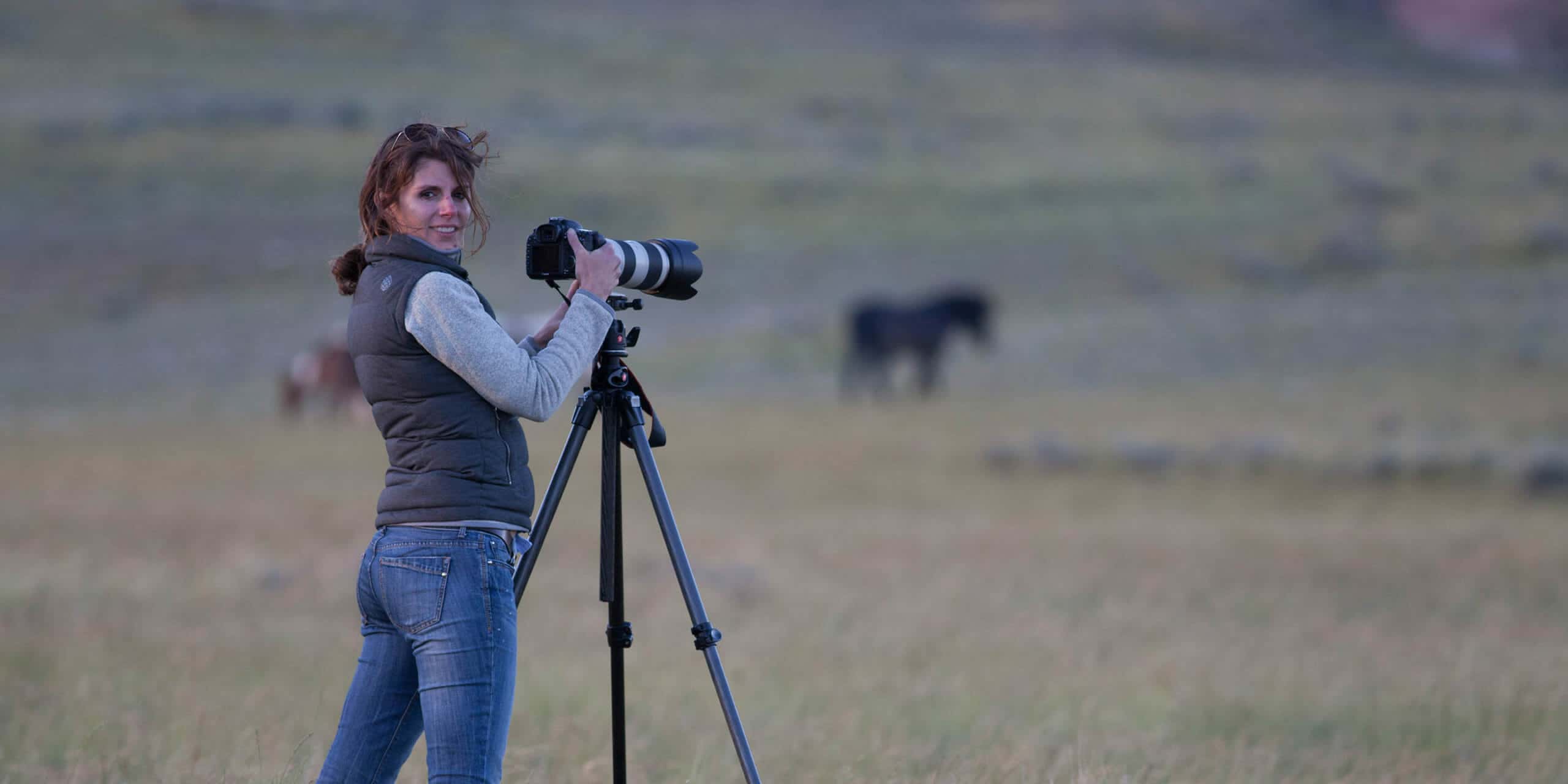Professional Wildlife Artist Carrie Wild Photographs Wild Horses On The McCullough Peaks Wildlife Management Area Outside Of Cody Wyoming