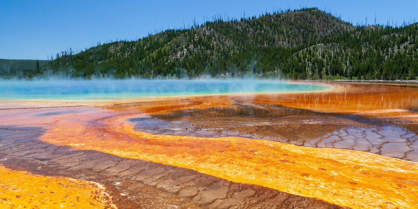The Vibrant Rainbow Colors Of The Grand Prismatic Spring Are Seen From The Boardwalk In Yellowstone National Park