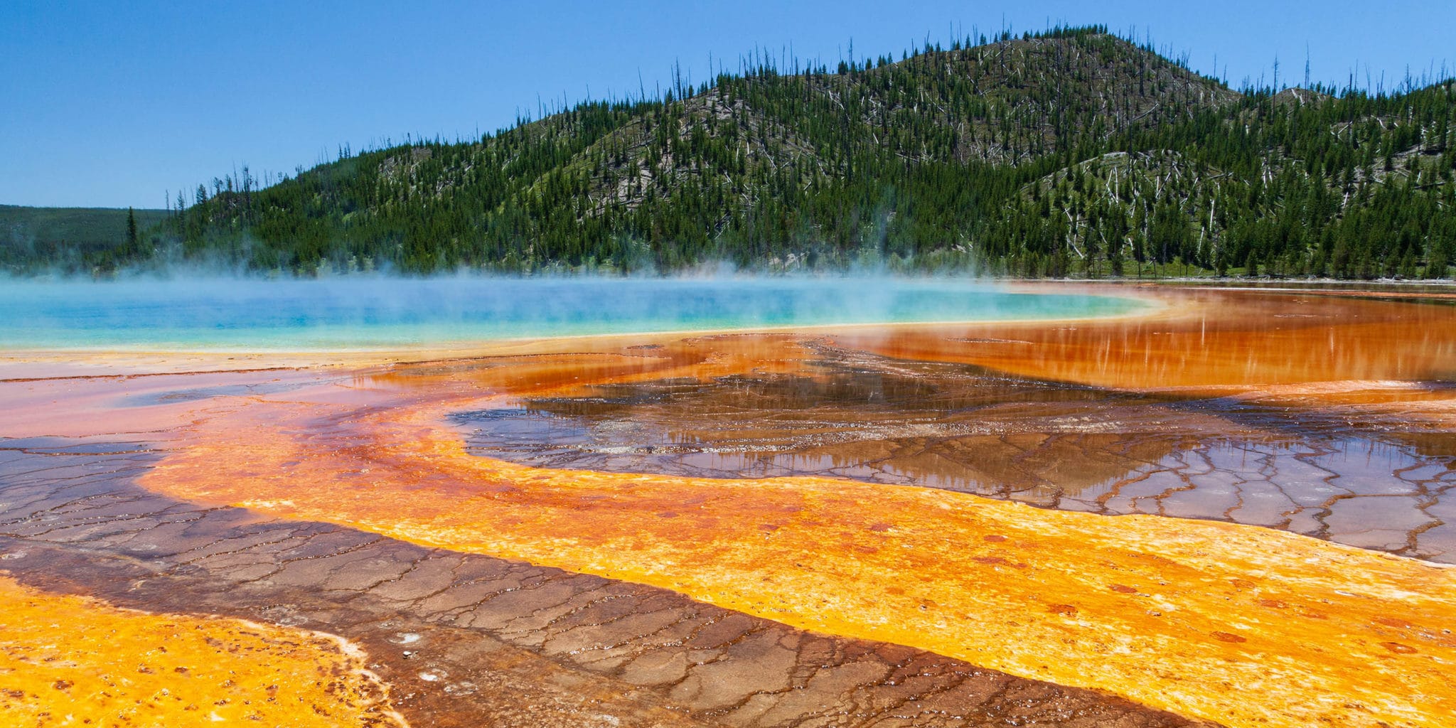 history-of-yellowstone-national-park-yellowstone-safari-company