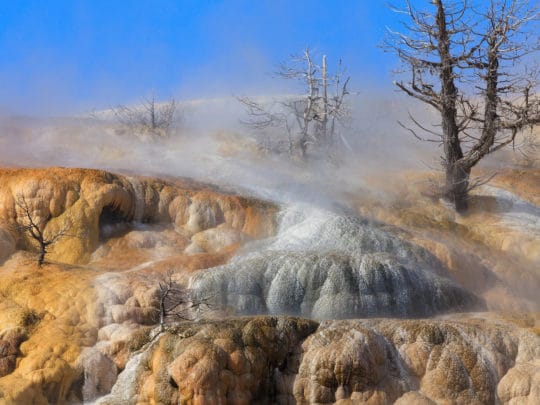 Travertine Terraces Are Found At Mammoth Hot Springs In Yellowstone National Park