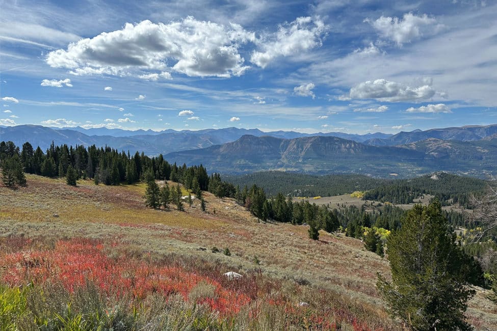 An open meadow along the Beartooth Highway on a sunny day