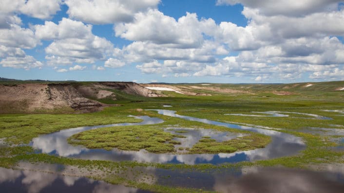 Spring Rains and Meltwater Temporarily Flood a Creek In Yellowstone National Park's Hayden Valley