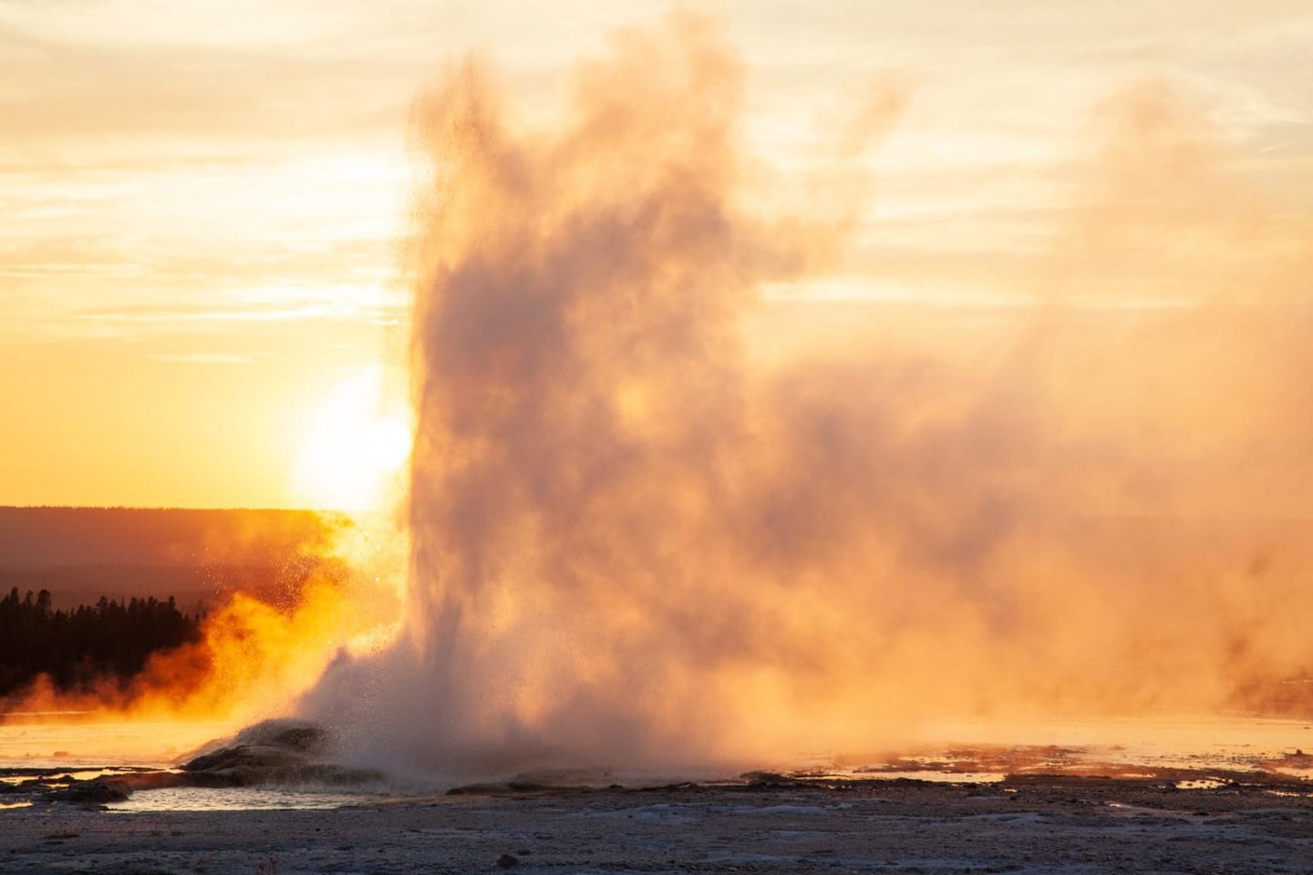A Geyser Erupts In An Orange Glow As The Sun Sets On The Lower Geyser Basin In Yellowstone National Park