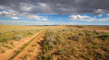 A Simple Dirt Track Cuts Through The Vast Open Landscape Of The McCullough Peaks Wildlife Management Area