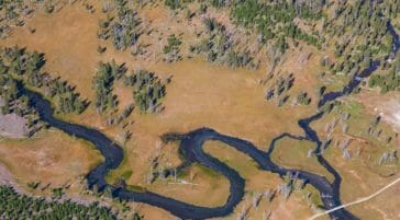 An Aerial Photograph of A Meandering Creek Is Visible In Yellowstone's Pelican Valley
