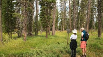 Two Hikers Pause To Read A Trail Marker In Yellowstone National Park