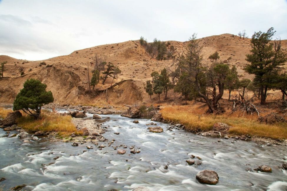 The Gardiner River Flows Toward The North Gate Of Yellowstone National Park