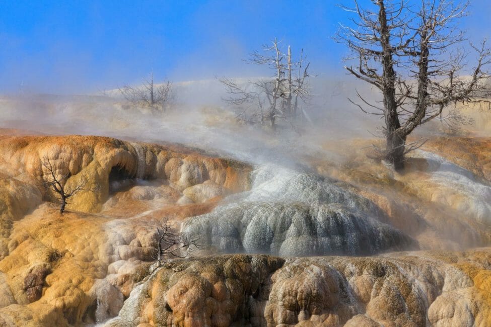 The White And Golden Travertine Terraces At Mammoth Hot Springs Are Found At The Northern Entrance Of Yellowstone National Park