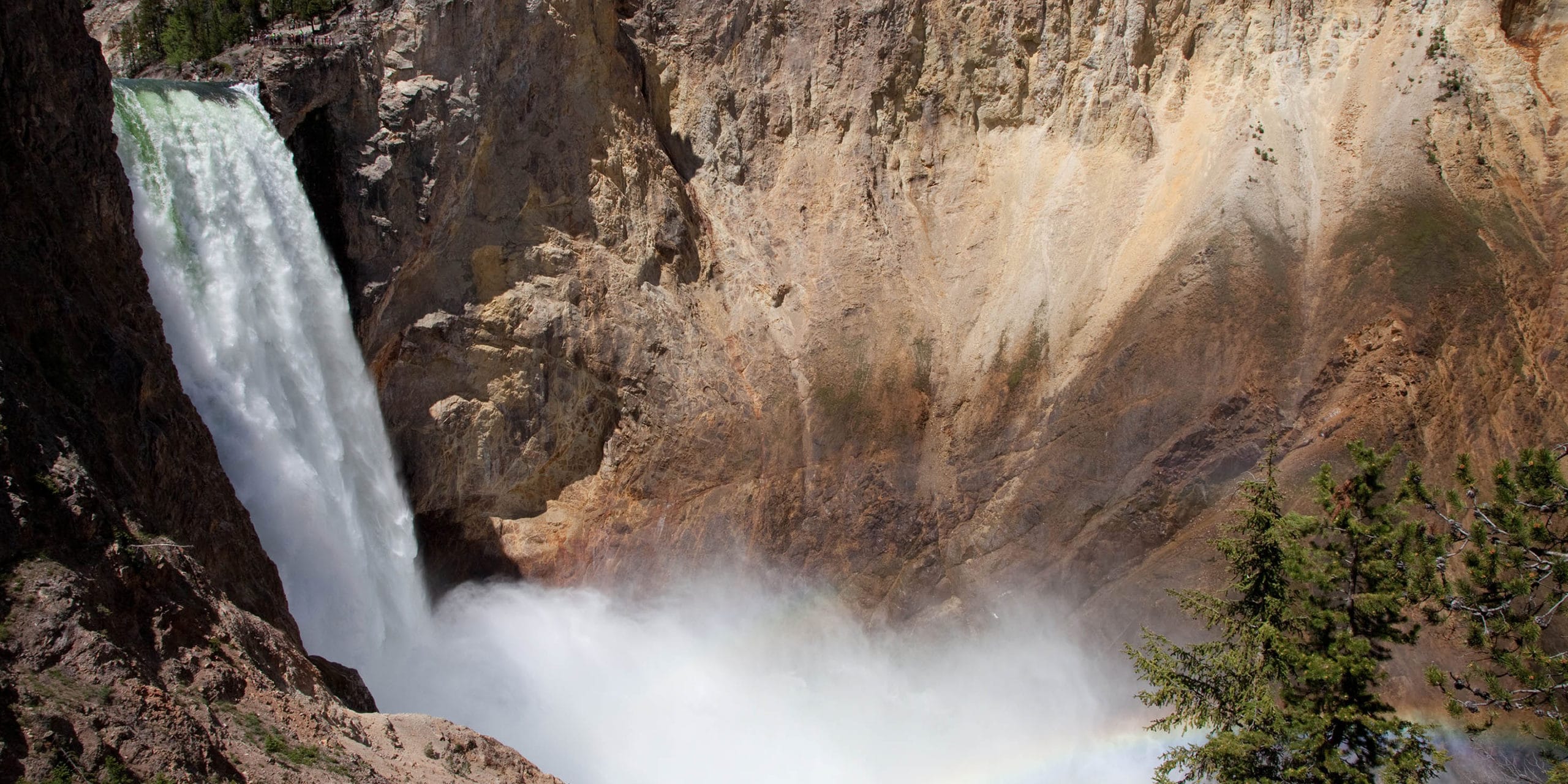 The Lower Falls Of The Yellowstone River Pours Into The Grand Canyon Of The Yellowstone Creating A Rainbow In The Rising Mist