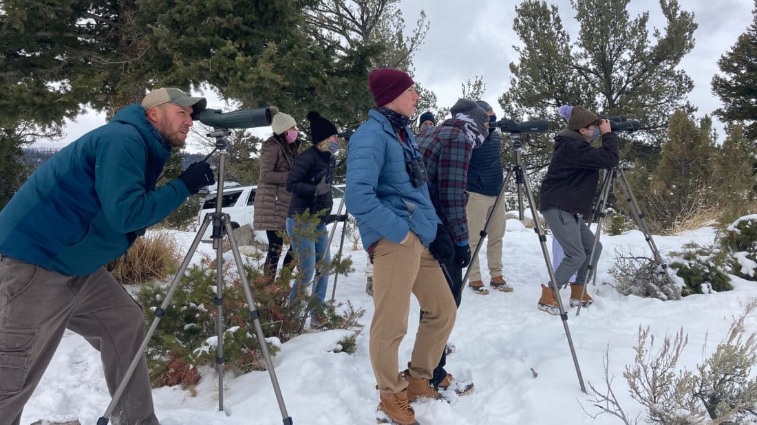 Yellowstone Safari Company Guides Hone Their Spotting Scope Skills In The Field In Yellowstone National Park