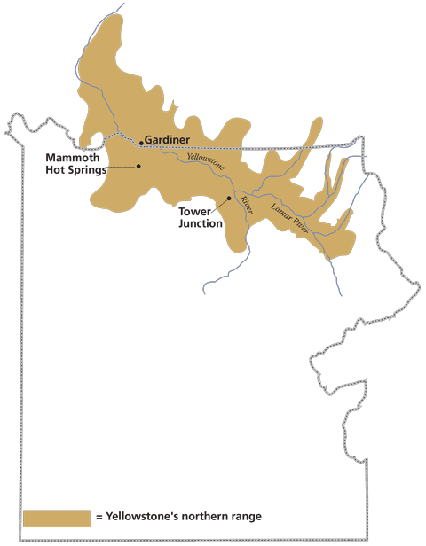 A Map Shows The Overlay Of The Northern Range Of Yellowstone National Park