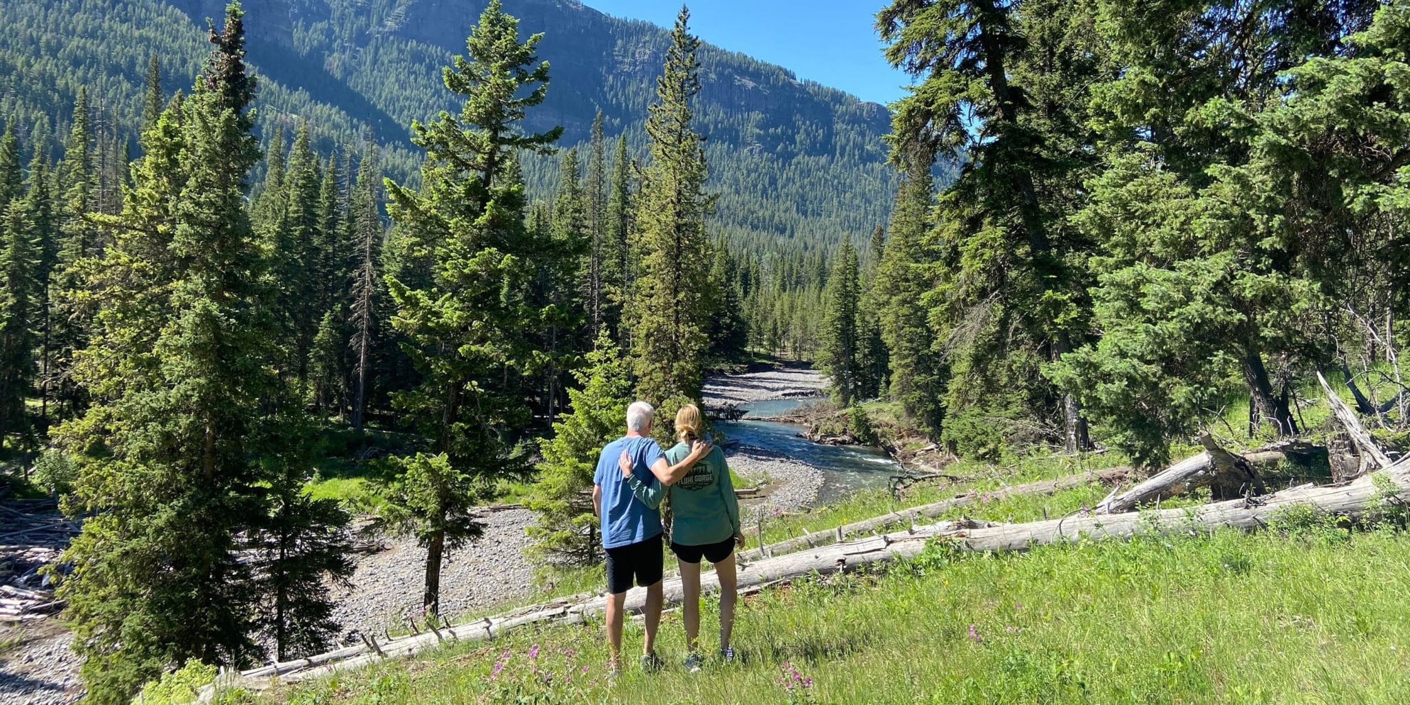 Yellowstone Tours From Big Sky, MT Wildlife Safaris and Eco Tours