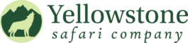 yellowstone safari company logo.