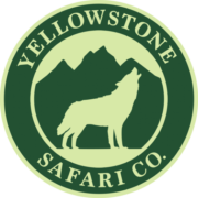 (c) Yellowstonesafari.com